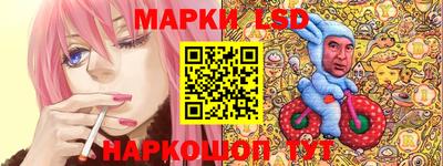 прущие грибы Новозыбков