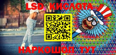 прущие грибы Новозыбков
