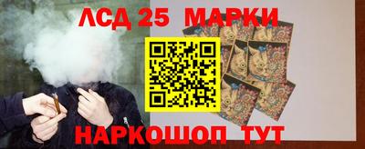 прущие грибы Новозыбков