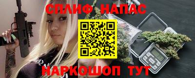 прущие грибы Новозыбков