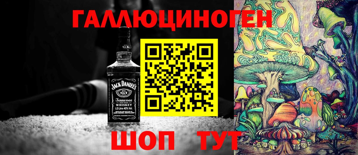 Галлюциногенные грибы Psilocybe  Вход с VPN  наркотики  Тверь 