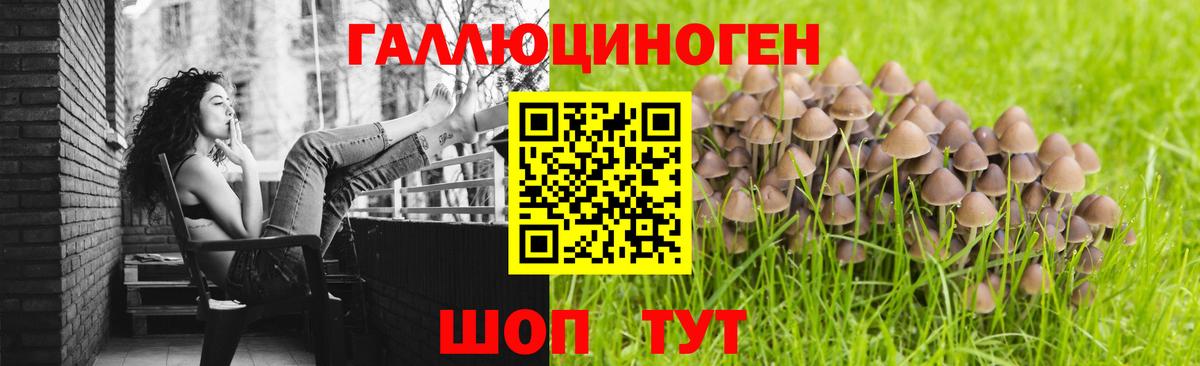 Галлюциногенные грибы мухоморы Тверь