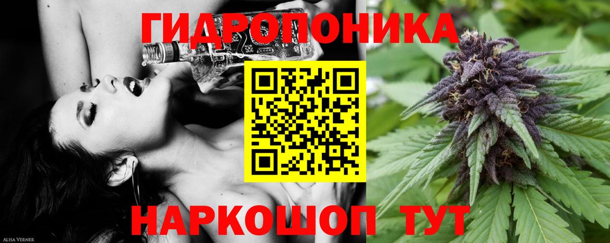 Марихуана ГИДРОПОН  Бошки марихуана Ganja  Бошки Шишки OG Kush  Тверь  Вход с VPN 